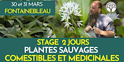 STAGE PLANTES SAUVAGES - 2 JOURS primary image