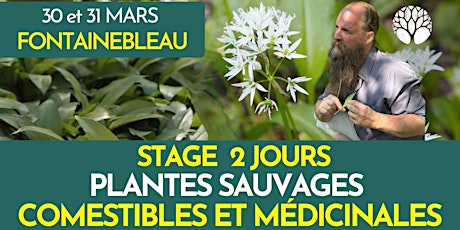 STAGE PLANTES SAUVAGES - 2 JOURS