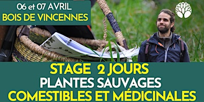 Imagem principal do evento STAGE PLANTES SAUVAGES - 2 JOURS