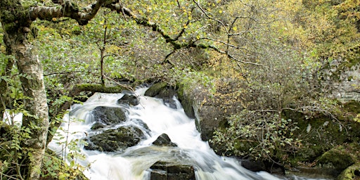 Imagem principal do evento The Radnorshire Big River Watch