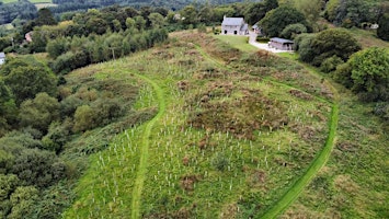 Primaire afbeelding van Site Visit: Rewilding Hill Crest - Devon Wildlands
