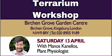 Terrarium Workshop with Manos Kanellos primary image