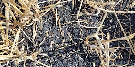 Biochar for carbon removal: what are the potential injustices? primary image