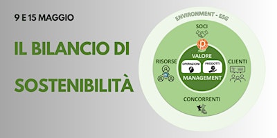 Hauptbild für IL BILANCIO DI SOSTENIBILITA'