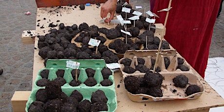 Earth Day 2024: Guerilla Gardening - Make Your Own Seed Bombs