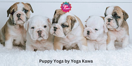 Puppy Yoga (Kids-Friendly) by Yoga Kawa Toronto