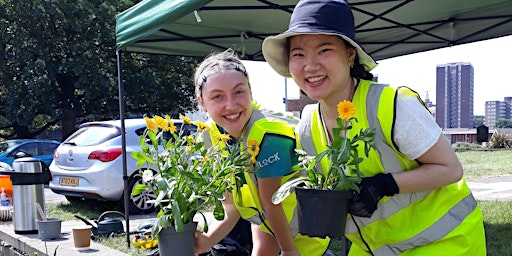 Lincoln Greeners gardening group primary image