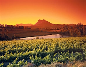 World of Wine Series: South Africa