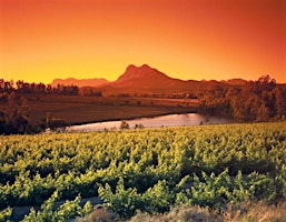 World of Wine Series: South Africa primary image