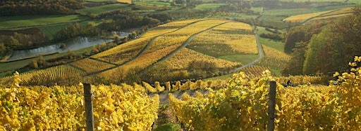 Imagen de colección para  World of Wine Series