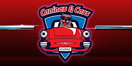 Canines and Cars