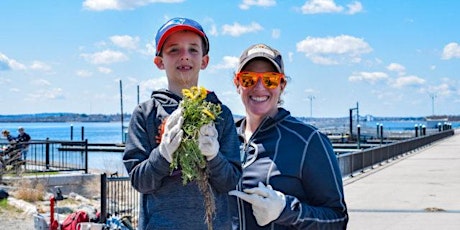 Boston Harbor Islands: Innovators Volunteer Opportunity primary image