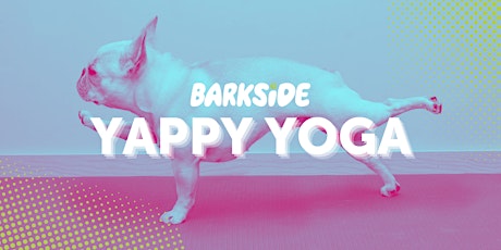 Yappy Yoga @ Barkside