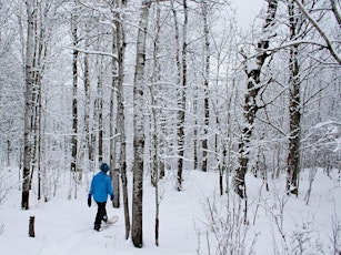 Snowshoe or Winter Hike at Leveaux Mountain