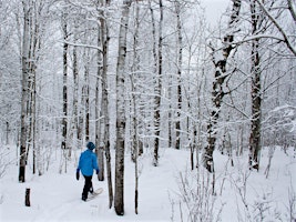 Primaire afbeelding van Snowshoe or Winter Hike at Leveaux Mountain