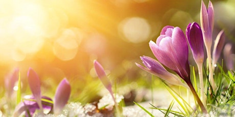 Hauptbild für Spring Awakening with Hypnosis & Sound Healing Ceremony
