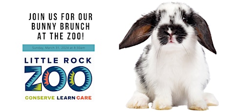 Bunny Brunch at the Little Rock Zoo