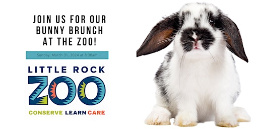 Bunny Brunch at the Little Rock Zoo primary image