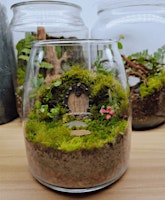 Library After Dark: Mini Fairy Gardens primary image