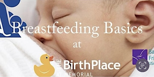 Imagem principal de Breastfeeding Basics