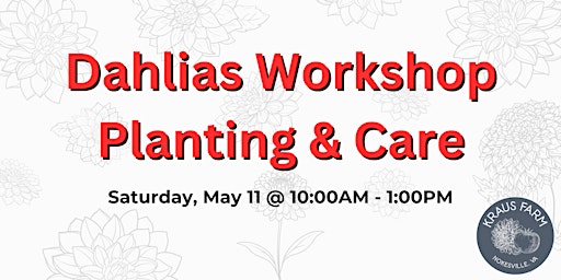 Imagem principal do evento Dahlias Workshop: Planting & Care