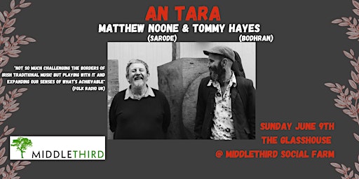 Hauptbild für An Tara - Matthew Noone & Tommy Hayes (Family Friendly - All ages gig)