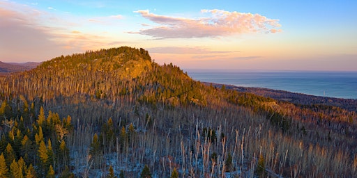 Guided Snowshoe, or Winter Hike at Carlton Peak primary image