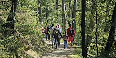 Hauptbild für Free Mindful Community Nature Walk