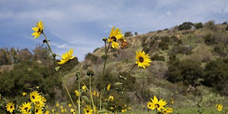 Earth Day Habitat Restoration&Free Lunch