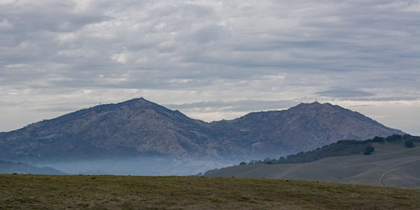 The Morning Side of Mount Diablo from Morgan Territory