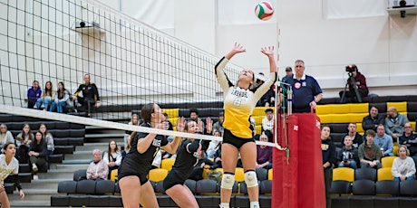 Imagen principal de Female OH & Setters Academy: Entering Grade 9-12  July15-19th    $295