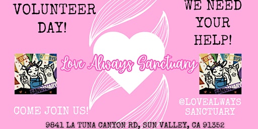Primaire afbeelding van June 14th Volunteer Day at Love Always Sanctuary!