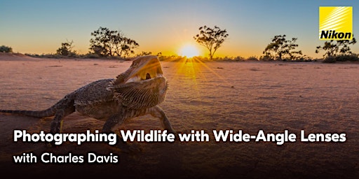 Primaire afbeelding van Photographing Wildlife with Wide-Angle Lenses | Charles Davis (Online)