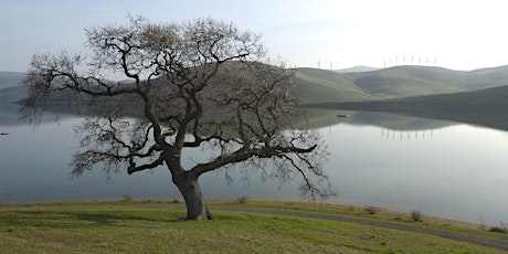 Winter's Transformations in the Oak Savanna