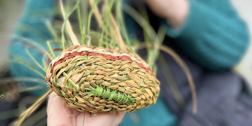 Hauptbild für Weaving is Healing Two-day weekend workshop Brisbane Part 1