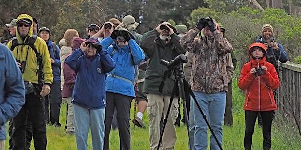 Raptors and Restoration at Skaggs Island with Melisa Amato and Larry Broderick 11-17-19