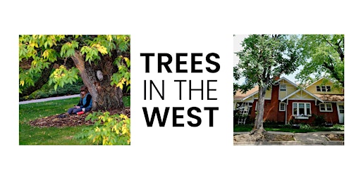 Primaire afbeelding van Trees in the West