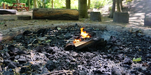 Campfire Fun at Fermyn Woods Country Park primary image