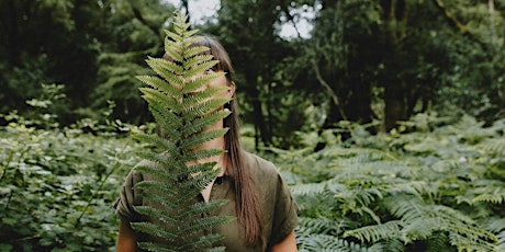 Hauptbild für Forest Bathing Walk