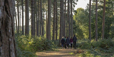 Primaire afbeelding van Accessible & Family Nature Walk Through Alice Holt Forest