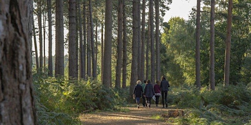 Accessible & Family Nature Walk Through Alice Holt Forest primary image