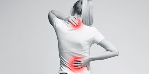 Hauptbild für Online-Kurs: Der Rücken-Workshop - Rückenschmerzen leicht vermeiden