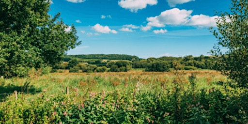 Primaire afbeelding van Back To Nature