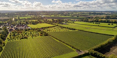 Beautiful Bentley primary image