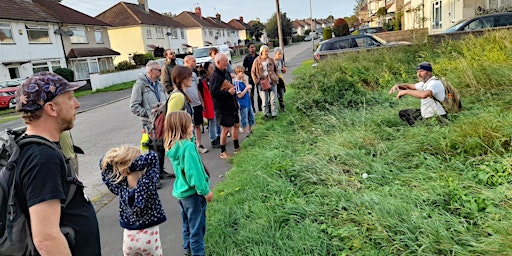 Hauptbild für Wild South Lockeaze!