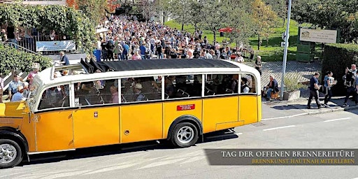 Imagem principal de PRINZ Hoffest 2024 - Freitag Prinz Stammtisch für 8 Personen