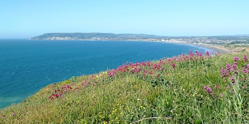 Culver Down Circuit primary image