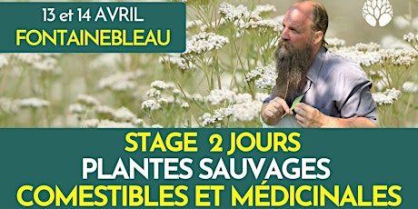 STAGE PLANTES SAUVAGES - 2 JOURS
