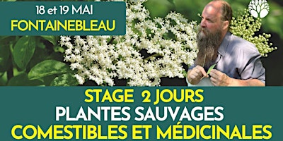 STAGE PLANTES SAUVAGES - 2 JOURS