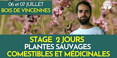 STAGE PLANTES SAUVAGES - 2 JOURS